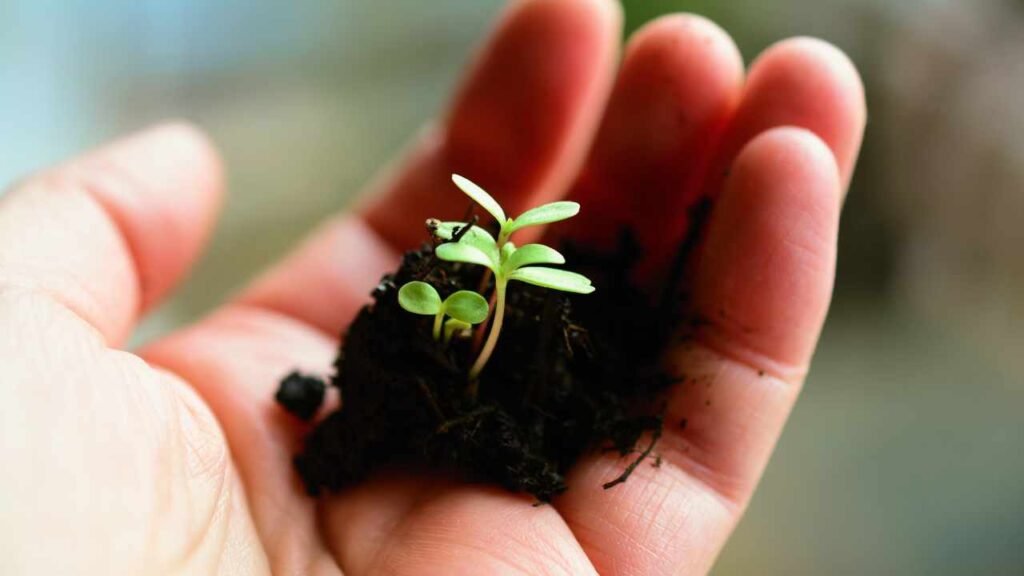 what you sow is what you reap